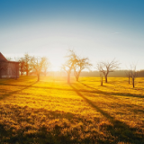 小小说丨李平：铜匠
