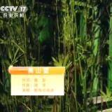 鲁絮政协委员工作室召集人成为中国音乐文学学会会员