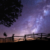 诗歌时刻丨大解：今夜的月亮是甜的，山羊在梦中流出了口水