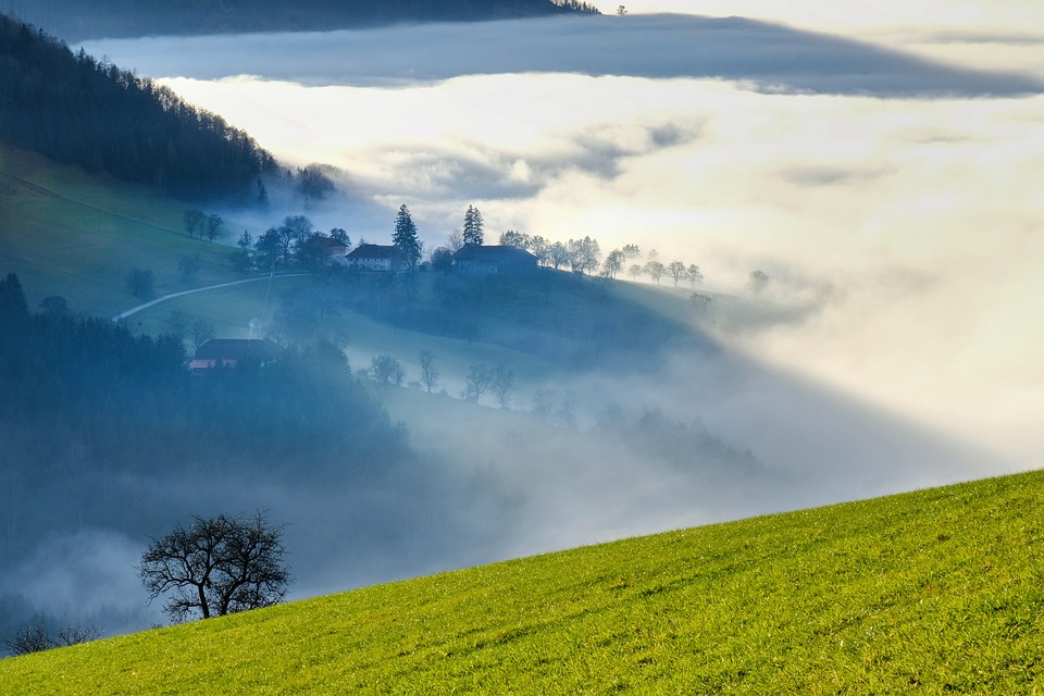 fog-7736603_960_720.jpg