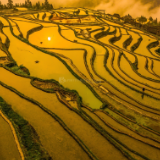 诗歌时刻丨毕俊厚:时光在不紧不慢地转动