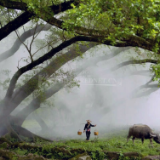 散文丨廖亚兰：两条扁担的故事