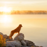 诗歌时刻丨宋谋万：我的梦搁浅在一段清醒的河流