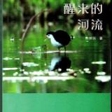 评论丨黄亮斌：河流何以醒来？