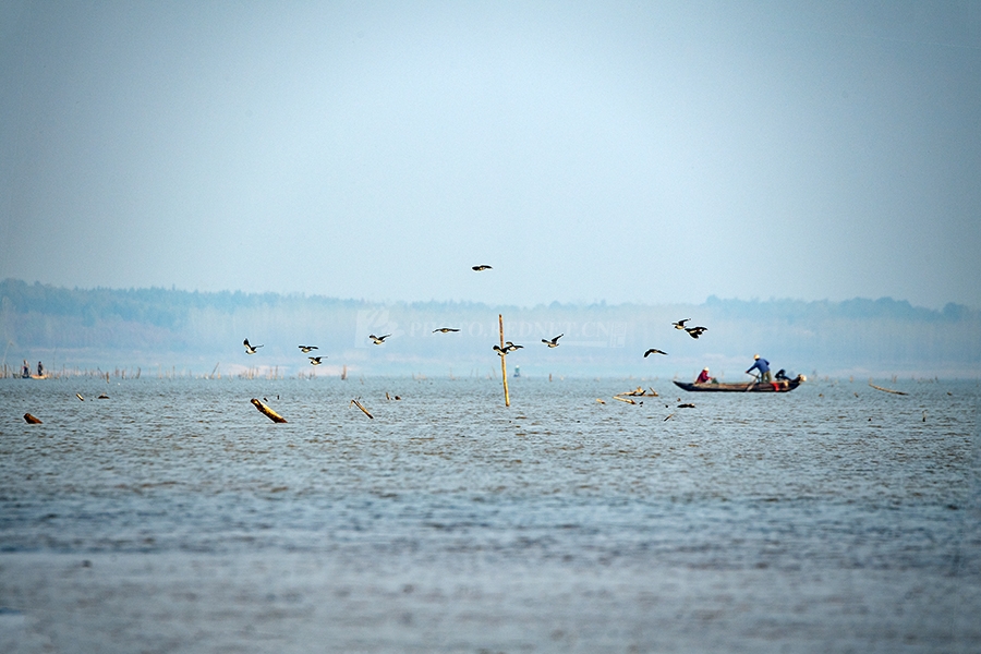 邓泽林.jpg 邓泽林.jpg