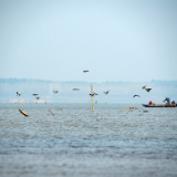 湘江文艺丨谈雅丽:长江从此处开始(组诗)