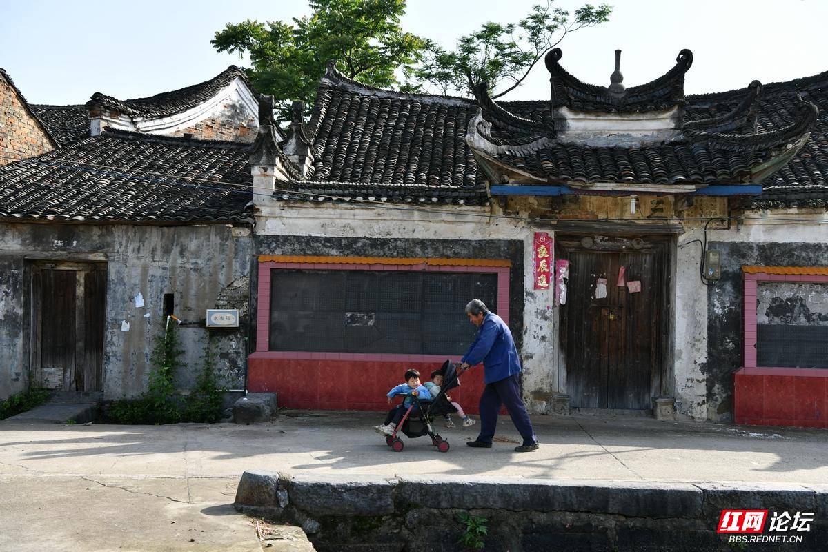 杨勇1.jpg
