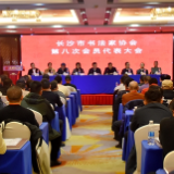 长沙市书法家协会第八次会员代表大会举行 陈阳静当选新一届主席