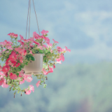 芙蓉·小说丨刘庆邦：干净