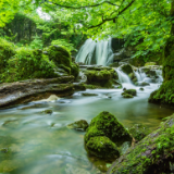 生态文学丨王忠平：月岩林场