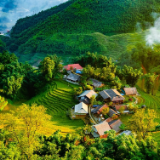 生态文学丨林红宾：大山深处