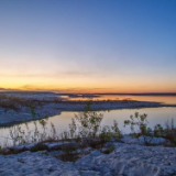 评论丨张远文:君自故乡来