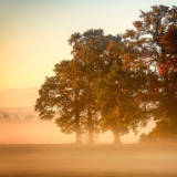 湘江文艺丨皇泯：人和巷