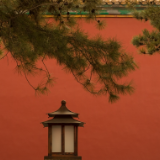 文艺论坛丨王若存、陈思羽：舞蹈艺术的新媒介转型