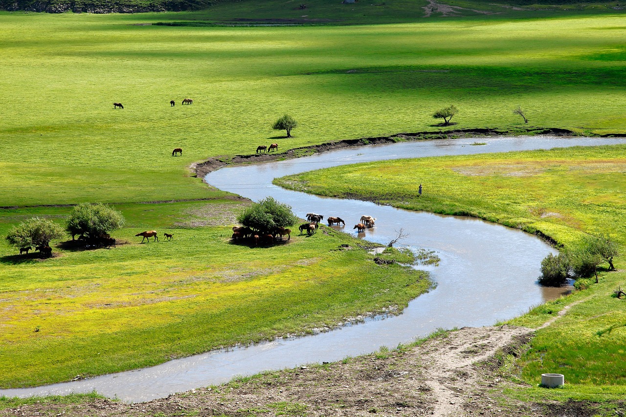 inner-mongolia-3628084_1280.jpg