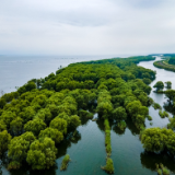 青山碧水新湖南丨丘脊梁：洞庭湿地