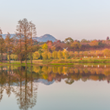 芙蓉·散文丨李达伟:纸屑飘落河流