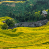 生态文学丨廖瑞莲：春访穿岩山
