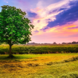 湘江文艺丨谢乐勇：另一种代名词