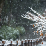 雪后有晴天