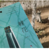 长沙市天心区作家协会主席简媛荣获两项文学大奖
