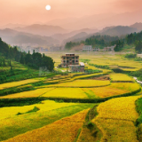 湘江文艺丨向本贵：塘坪风景