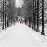 芙蓉·诗歌丨江星若：忍住了体内一次次的雪崩