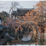 诗歌时刻丨白鸥：我坐在西兴的河埠头，触摸岁月和浪花的痕迹