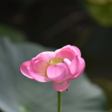 文艺论坛丨张永禄：创意写作与高校作家培养