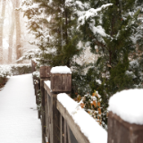 芙蓉·小说丨袁凌：听吧，房间