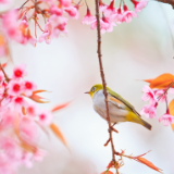 芙蓉·小说丨江冬：友人之约（短篇小说）