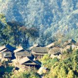 文学里的湘村丨向午平:窝瓢夜话