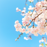 芙蓉·印象记丨龚曙光：灵魂舞者