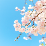 芙蓉·散文丨王跃文：走神