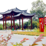 文学里的湘村丨陈易帜：美丽卦石入画来
