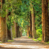 随笔丨王熙哲：夕阳将至的校园