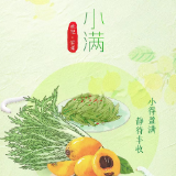 湖湘风物 · 小满｜物至于此 小得盈满：枇杷和苦菜