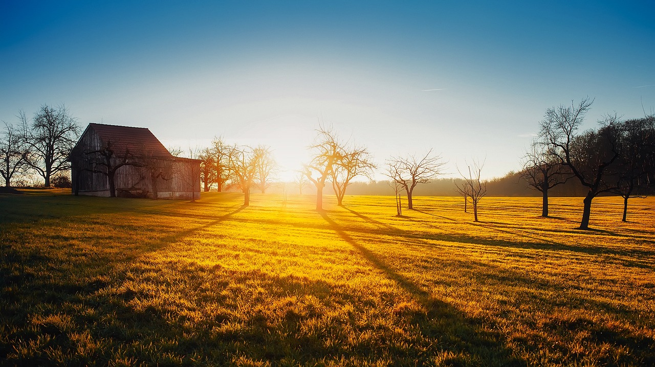 sunrise-1892493_1280.jpg