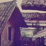 散文丨潘一燕：我所知道的芸庐