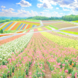 湘江文艺丨梦天岚：湖湘地理（组诗）