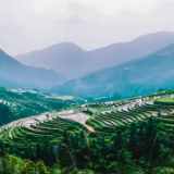 诗词大会作品丨《旅途随吟》《小康梦》《访荷叶坝村竹丝塘美丽屋场群》