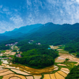 文化中国行丨张逸云：枧冲的绿色版图