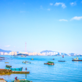 诗歌时刻丨许百经：三角梅的长生哲学（组诗）