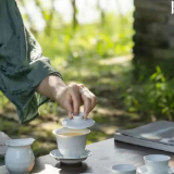 散文诗丨米祖:青莲遇见青瓷