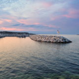 芙蓉·散文丨陈蔚文:白鲟远去