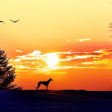 散文丨江波:识山楼:易祓的山与人生