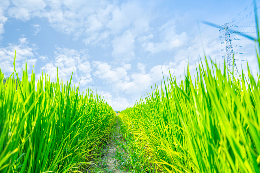 5da023cf0ab03_副本.jpg 5da023cf0ab03_副本.jpg