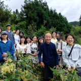 湖南师大学子实地调研金银花产业 助力乡村振兴展现青春力量