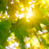 随笔丨丁文:陈健秋先生轶事