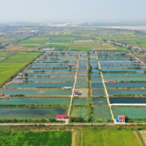 文学里的湘村丨刘鸿伏：水泊杨林